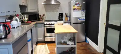 furnished  room  for rent  in Highpark  park  area