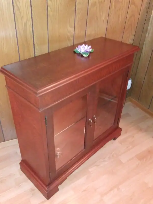 Display cabinet (Markham rd. south of 401) in Hutches & Display Cabinets in City of Toronto - Image 8