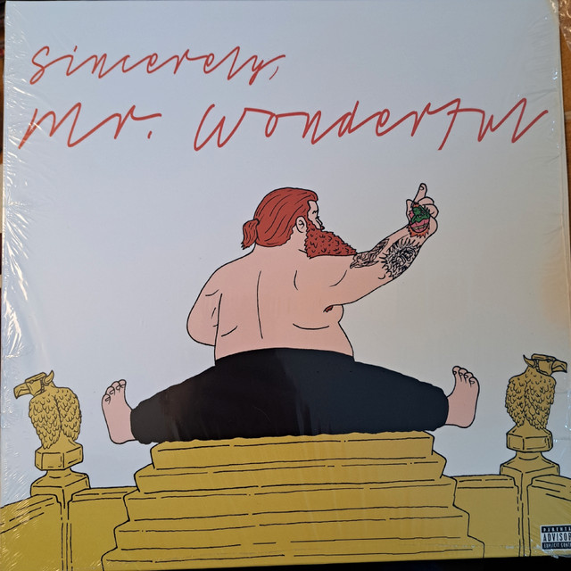 ACTION BRONSON - Sincerely Mr. Wonderful  in CDs, DVDs & Blu-ray in Kamloops