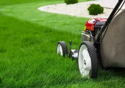 Lawn Mowing Grass Cutting Trimming, Voir plus
