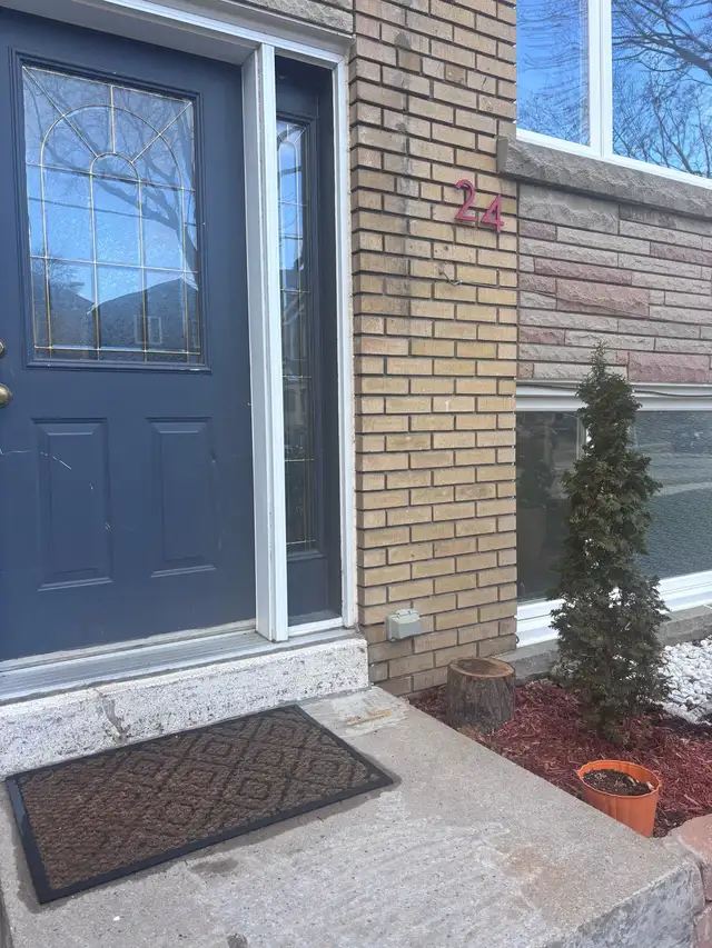 Newly Revovated One Bedroom Suite