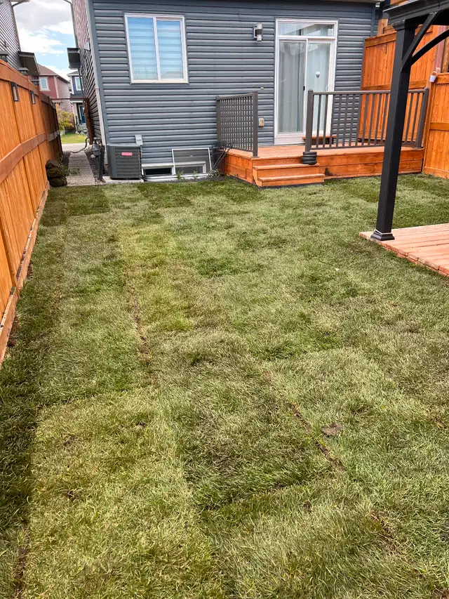 Lawn mowing 50 ,yard clean up, SOD installation, pressure wash63235196032641124
