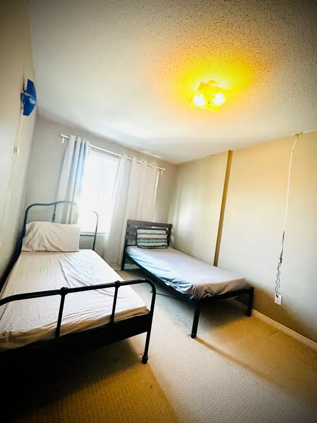 room for rent in Room Rentals & Roommates in Ottawa - Image 5