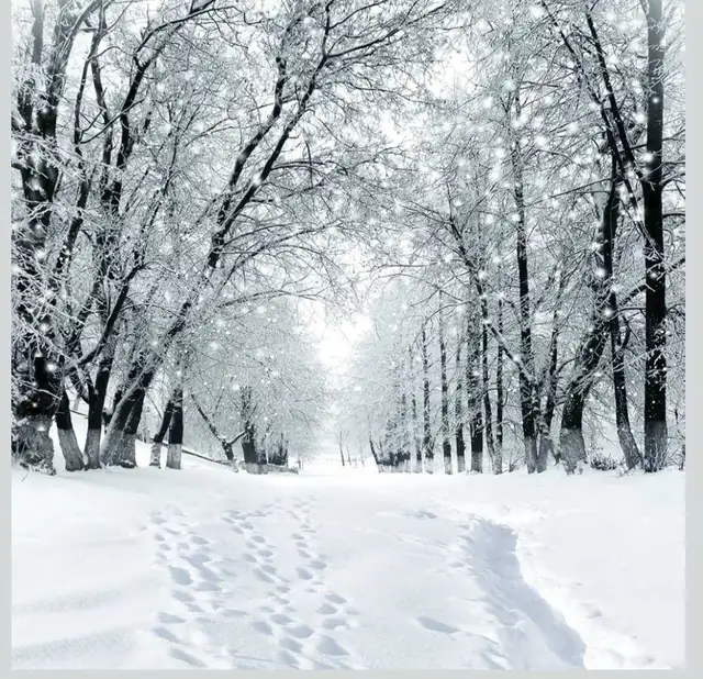 Snow Removal Shoveling 64840197757954120