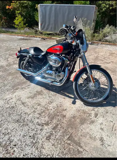 Clean bike with passenger seat and bags included. Less than 21,000 kms and asking $6300