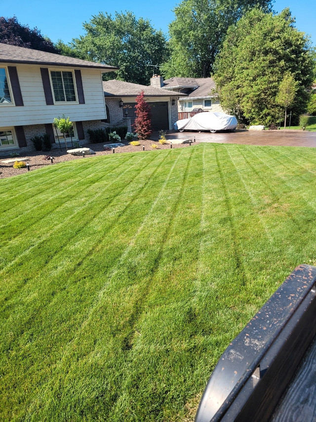 North York Lawn Care & Landscaping | 6472740770 in Lawn, Tree Maintenance & Eavestrough in City of Toronto - Image 3