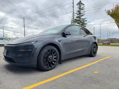 There are four tire options available, all fitted on the same 19" TS03 wheels with OEM Tesla Bluetoo...