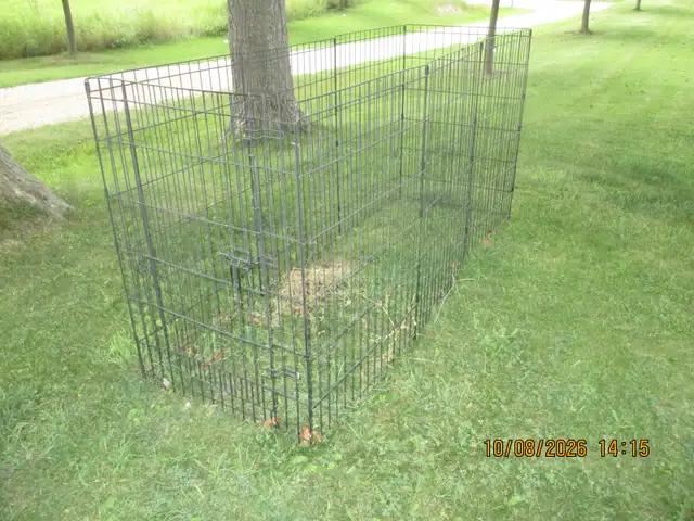 Black metal dog fencing in Accessories in Owen Sound - Image 2