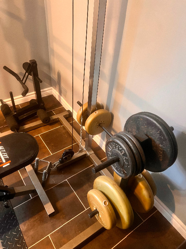 Universal Home Gym in Exercise Equipment in Hamilton