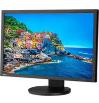 Discontinued Desktop Monitor for Photographers NEC