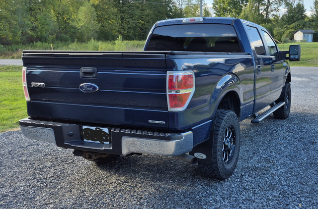 2014 F-150 SuperCrew XLT 4x4 in Cars & Trucks in Ottawa - Image 4