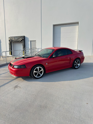 2004 Ford Mustang Gt