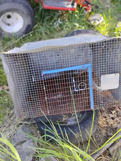 cage en broche pour lapin ect.., View more