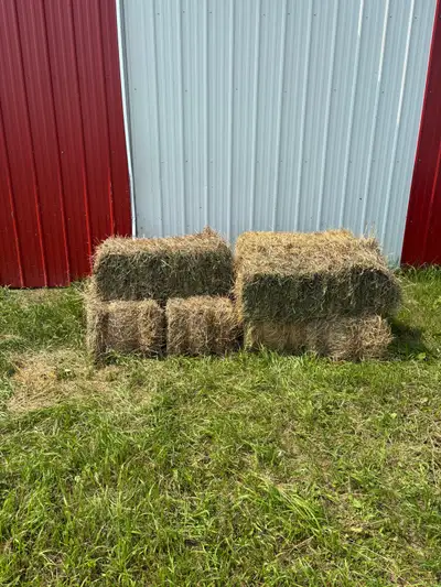SQUARE HAY BALES - Timothy, alfalfa, broom mix - excellent quality, stored inside. $7.00 CALL 306-25...