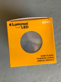 BR 40 led light bulbs