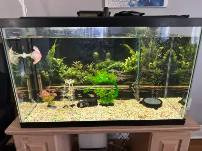 30 gallon fresh water tank, View more
