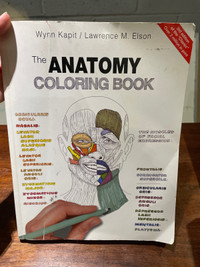  Anatomy, colouring book