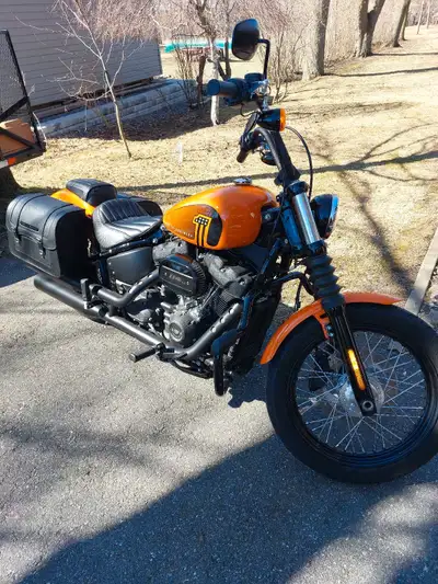 Harley street bob 2021, 4400 km, 6 vitesses, 1800cc, Valise et crash bar HD. Avec toile de protectio...