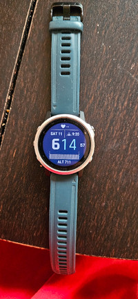 Garmin fenix 6s smart watch