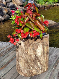 DÉCOR TRUNK PLANTERS – ONLY $15 – 80% OFF