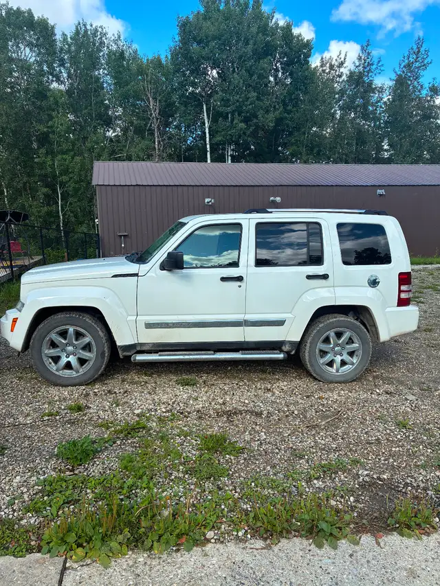2010 JEEP LIBERTY554758077678899202