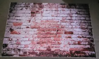 Brick Wall Backdrop, View more