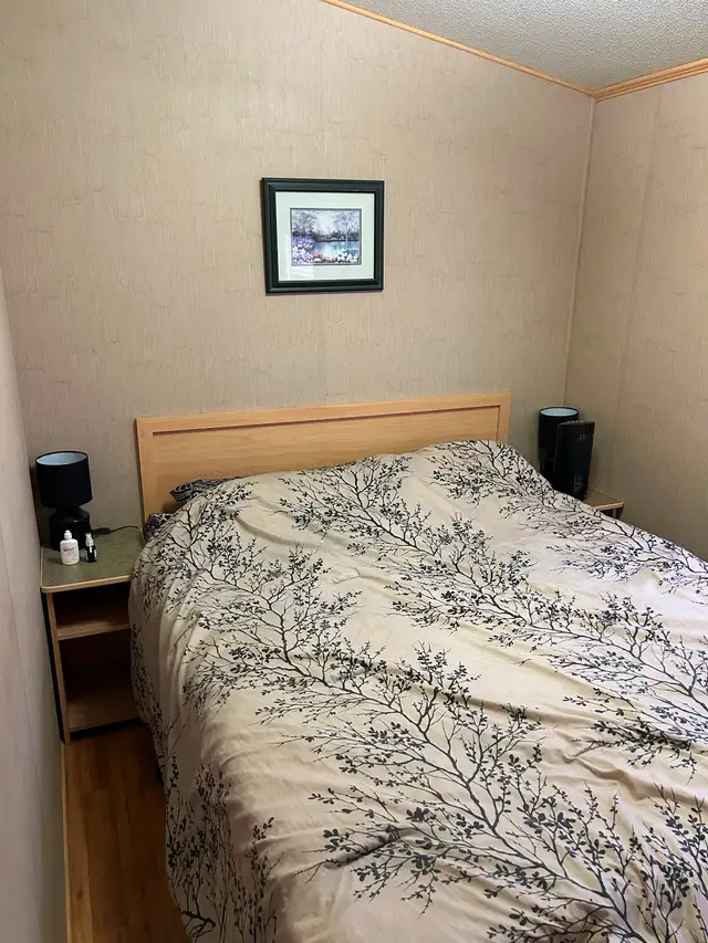 2010 Northern Cottage Escape mobile home in Park Models in Grand Bend - Image 7