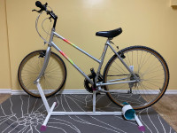 Hybrid bike with trainer stand wants a new home.