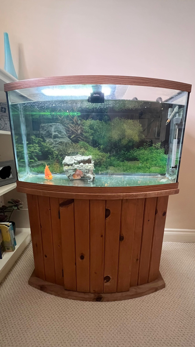 50 gallon aquarium with matching stand | Fish for Rehoming | Calgary |  Kijiji