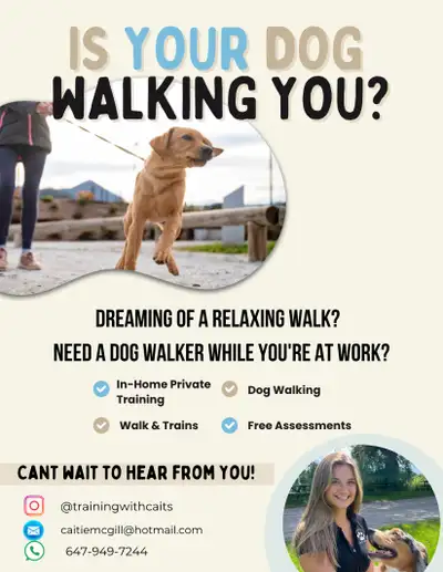 Dog Training, View more