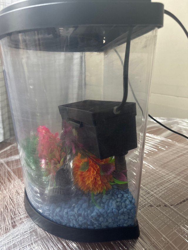 Desktop Aquarium for SALE in Other in Oakville / Halton Region - Image 2