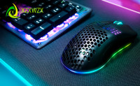 Wireless RGB Gaming Mouse