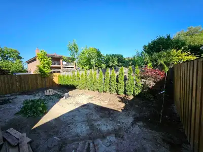 Transform your backyard with a clean, natural privacy wall Premium Emerald Cedars available in multi...
