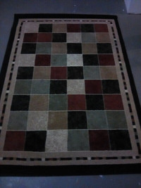 Carpet and Area Rug - Beautiful Condition