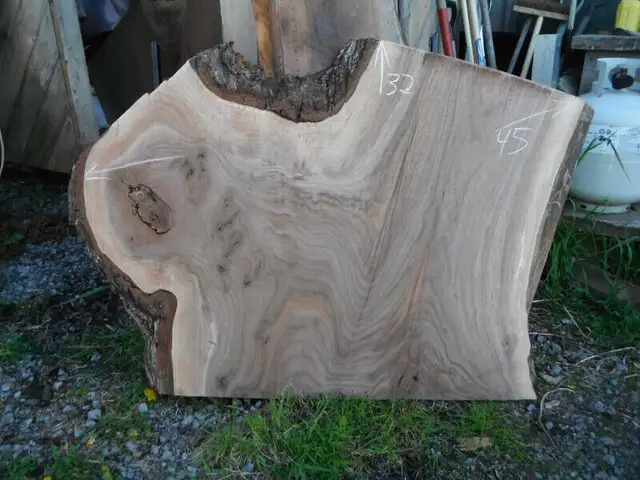 Live edge walnut slabs for table tops in Other in Ottawa - Image 4