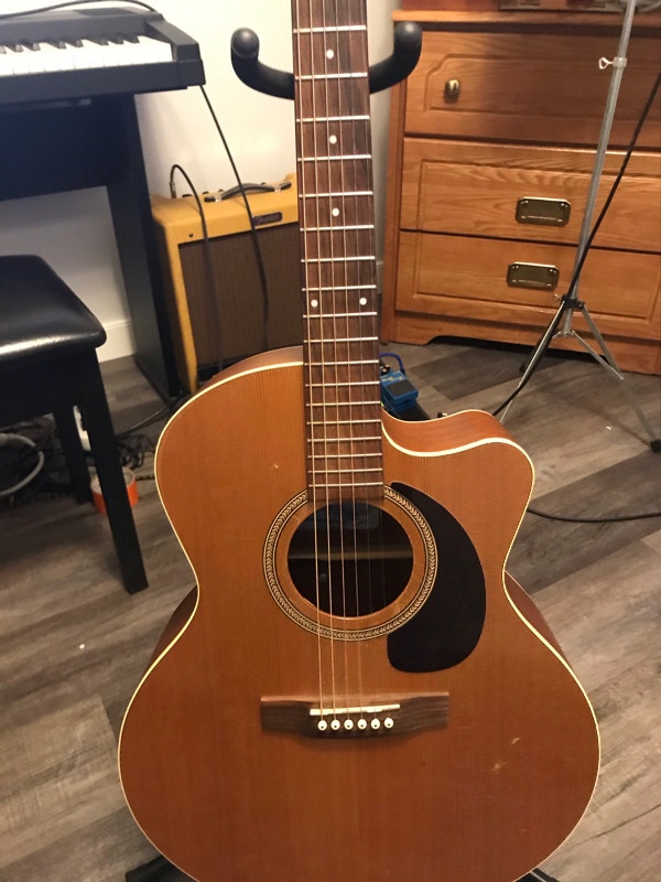 Seagull MJ Guitars Calgary Kijiji