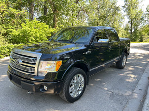 2010 Ford F 150 Platinum 