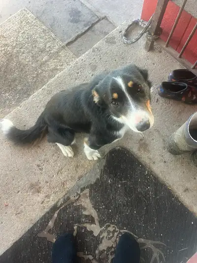 For sale, View more