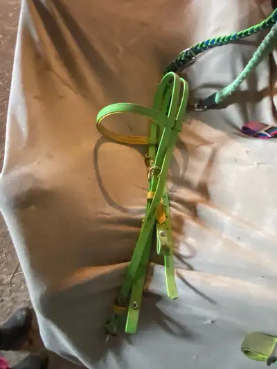 Headstall and reins , View more