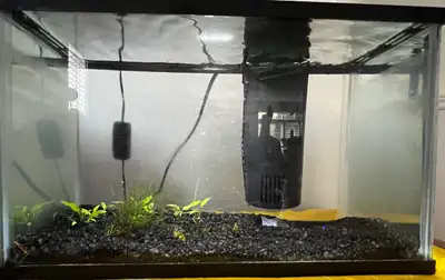 5 gallon full setting aquarium set - led light, lid, filter, tank, gravel, live plants inside tank.…...