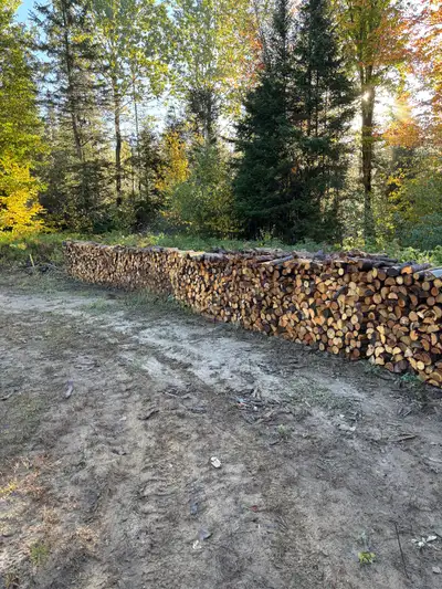 Bois de chauffage à vendre.Bois de 16 pouces. Essence de prûches, de pin et d’épinettes. BOIS MOU. P...