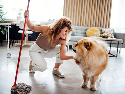 Residential Cleaning Subcontractors Needed, View more