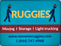 PROFESSIONAL MOVERS KNOWN FOR GERMAN PRECISION AND DETAIL