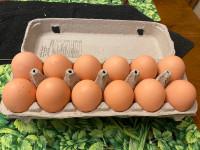  XL  jumbo eggs - sale, buy 4 get one free 