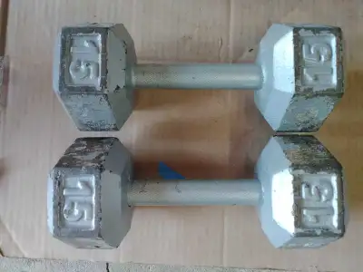 Two 15 lbs Hex Dumbbells , View more