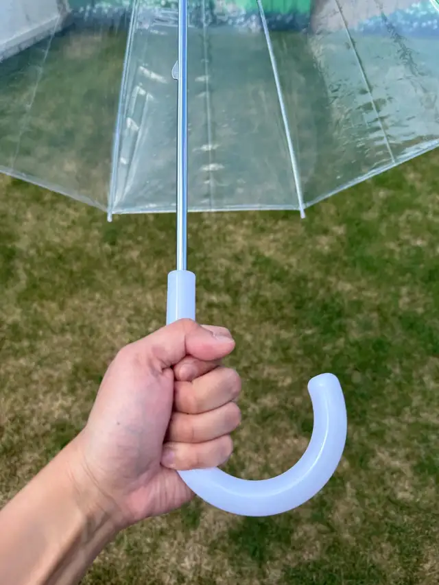 Clear Dome Bubble Umbrella – Stylish, Windproof, Wedding-Ready62863285662081124
