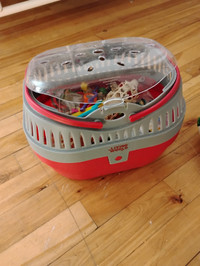 Budgie couple in large cage toys and traveling carrier