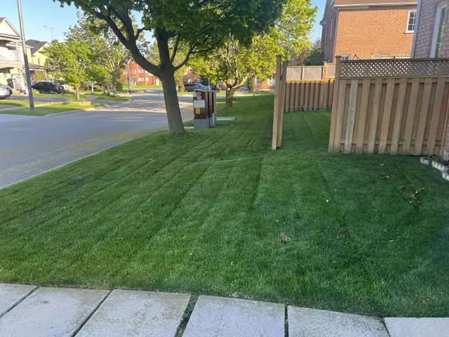 Grass cutting Lawn mowing / Lawn care / Leaf cleaning62863240794755123