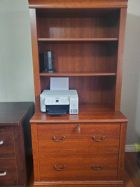 Deep file cabinet with hutch shelving