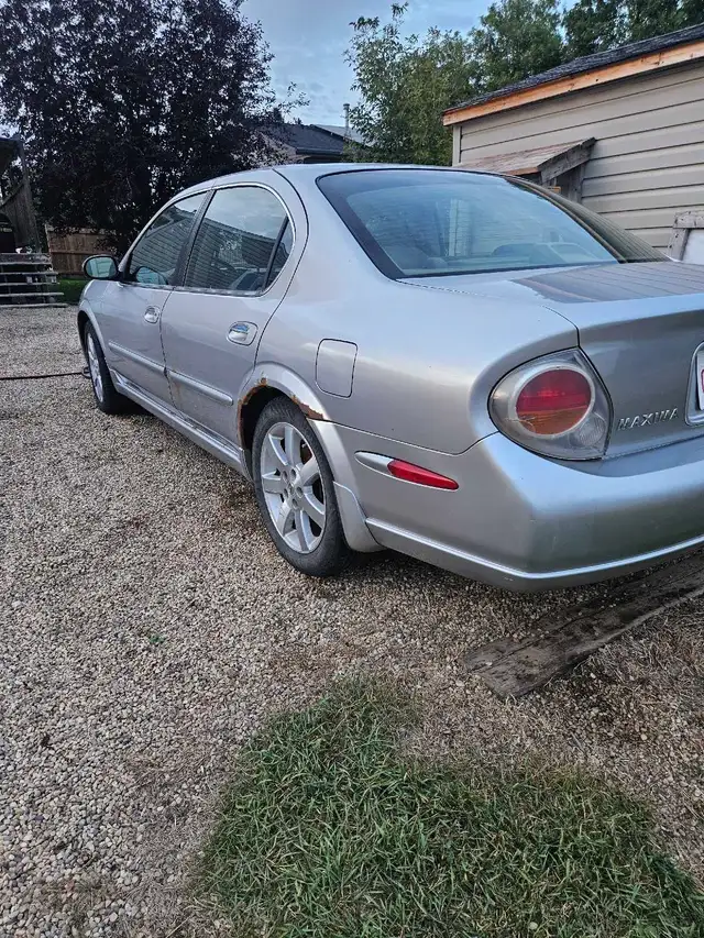 2003 Nissan Maxima 557469098731776002